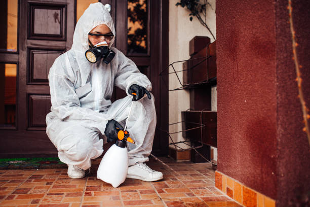 Reliable Cockroach Control contractor in Mount Dora, FL by Nex Pest Control